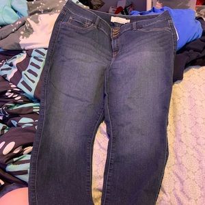Torrid skinny jeans